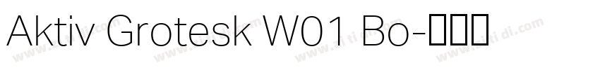 Aktiv Grotesk W01 Bo字体转换